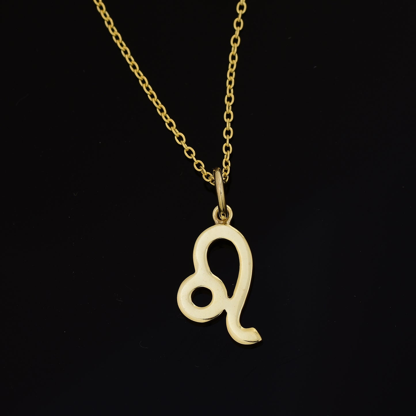 Leo Zodiac Sign Necklace