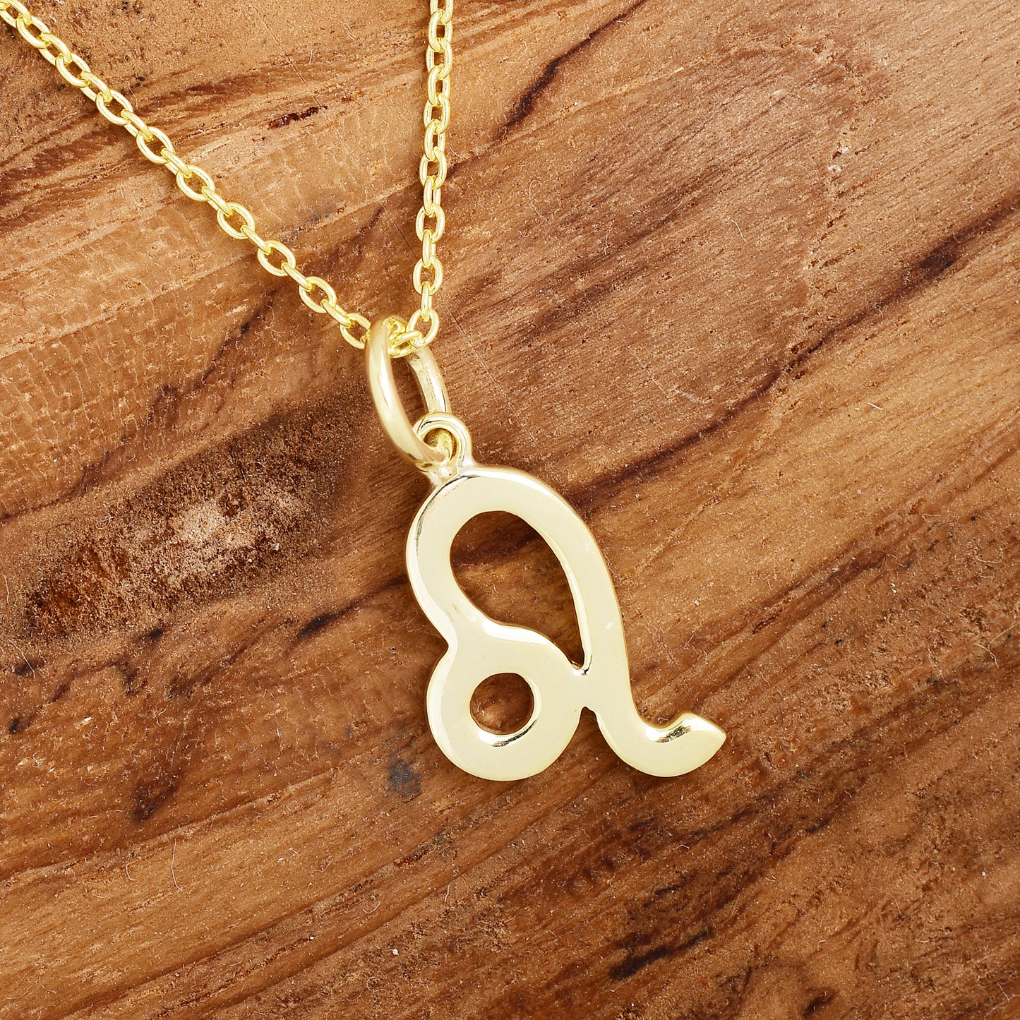 Leo Zodiac Sign Necklace