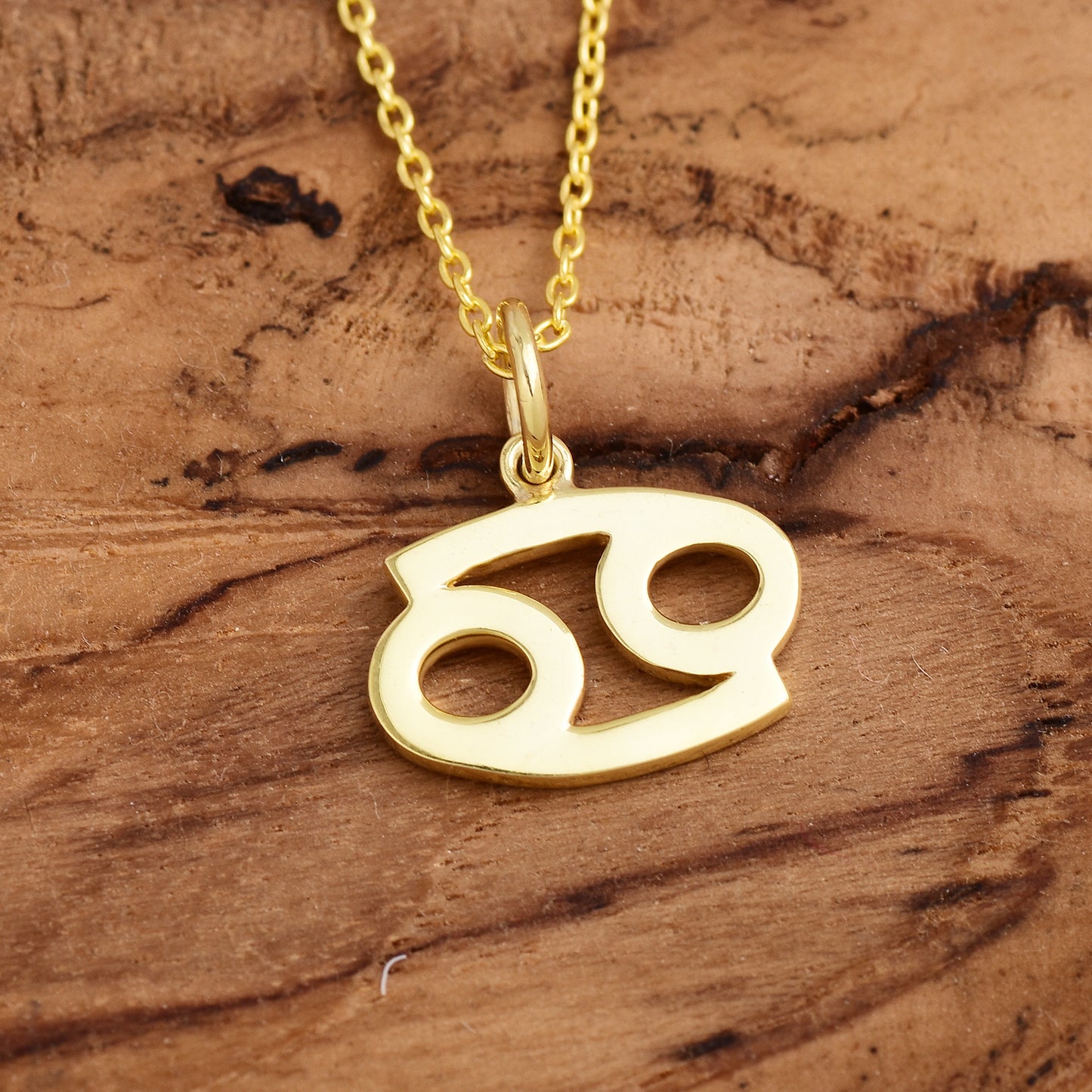 Cancer Zodiac Sign Necklace