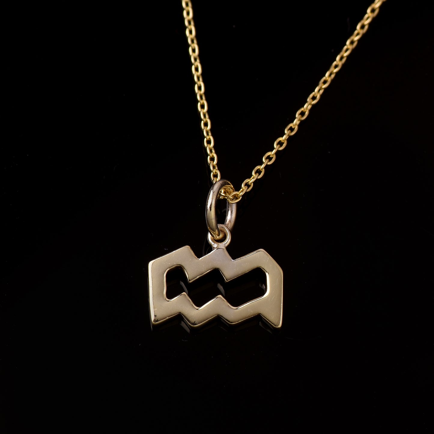 Aquarius Zodiac Sign Necklace