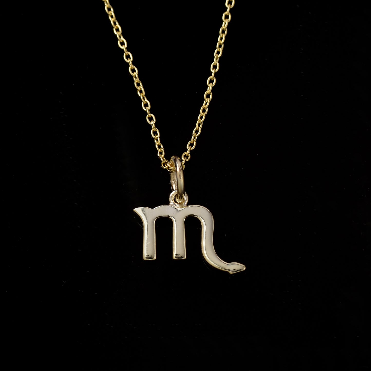 Scorpio Zodiac Sign Necklace