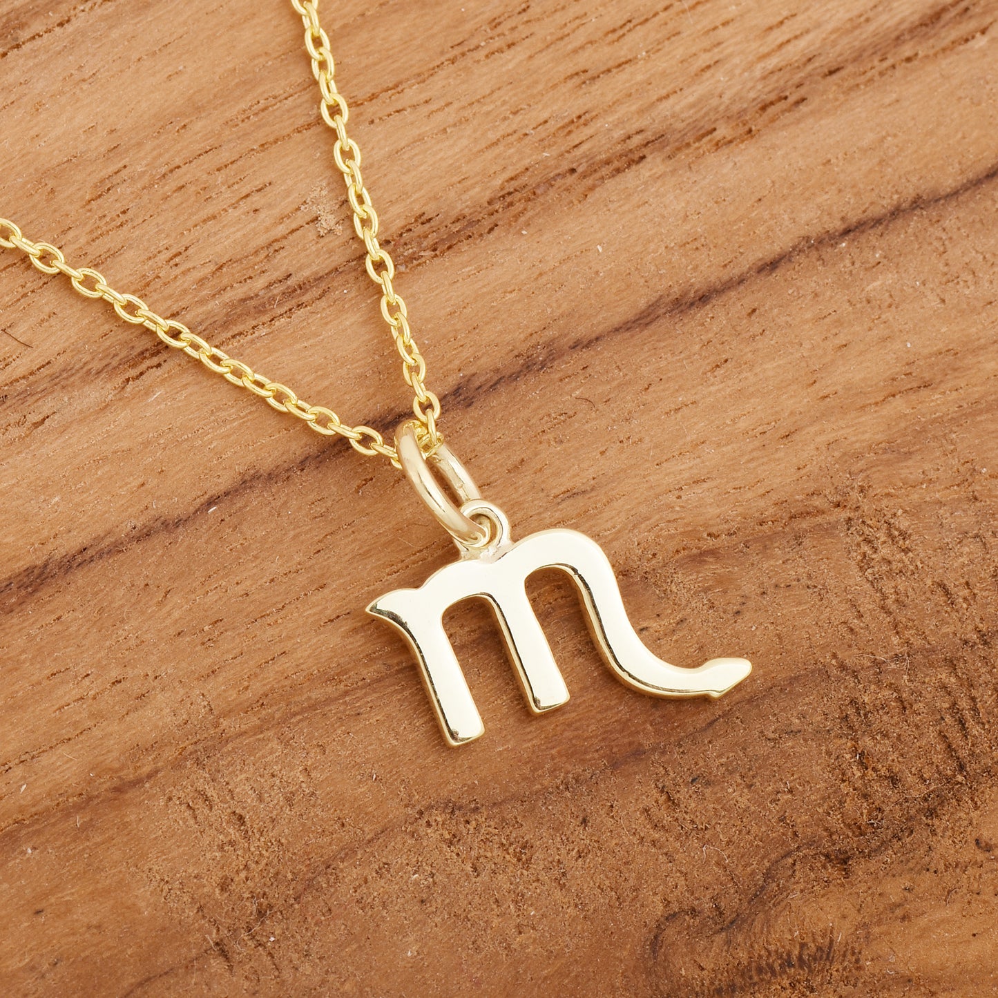 Scorpio Zodiac Sign Necklace