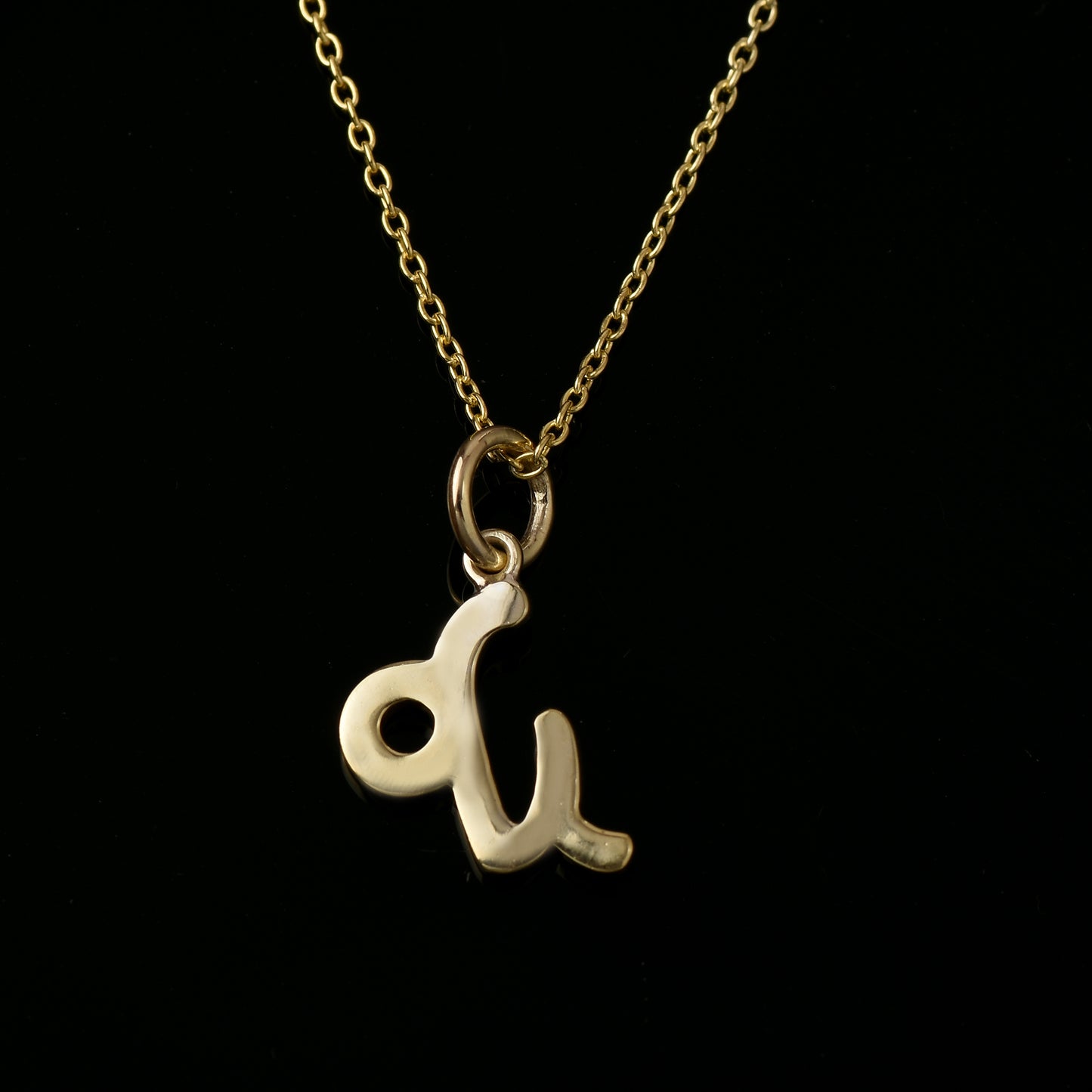 Capricorn Zodiac Sign Necklace