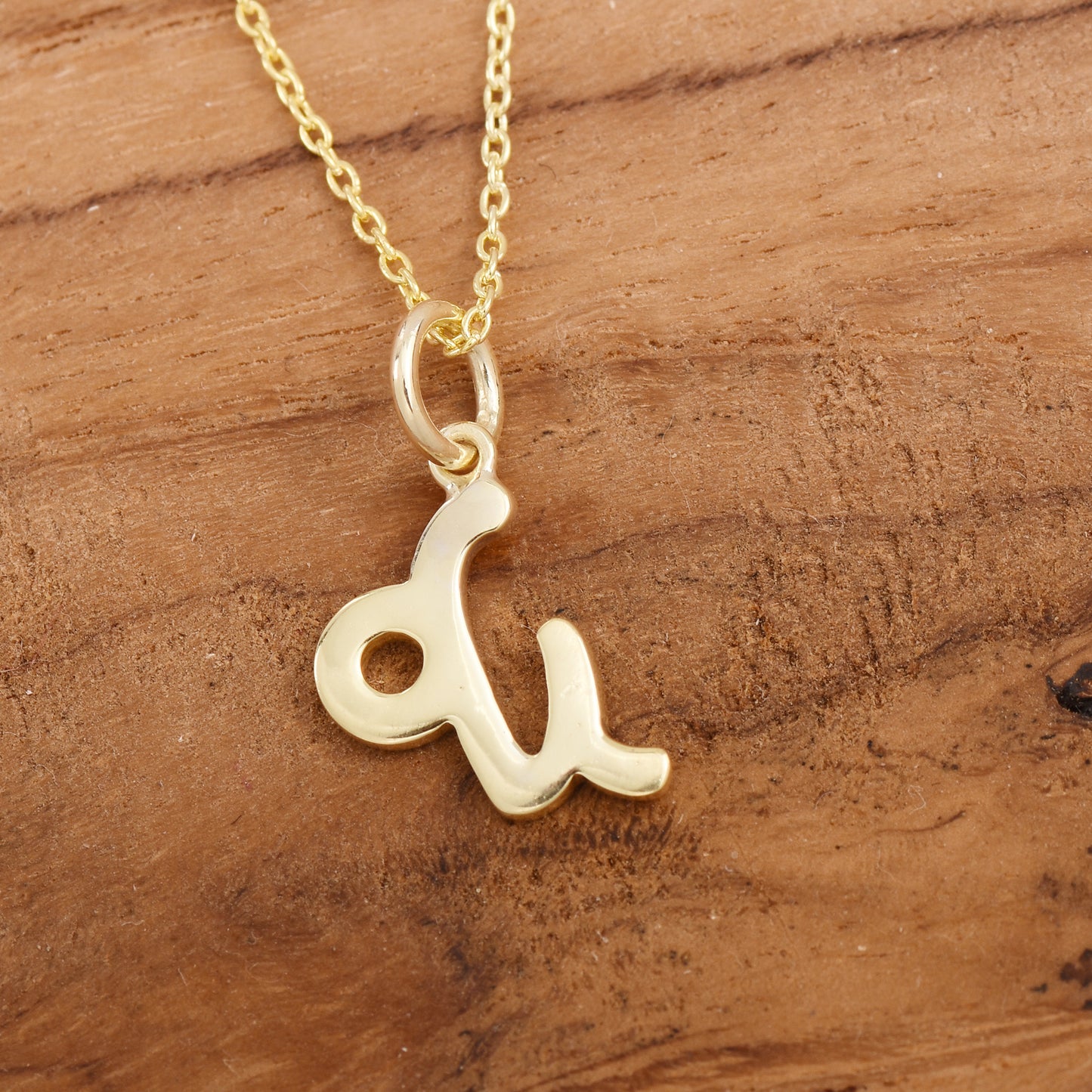 Capricorn Zodiac Sign Necklace