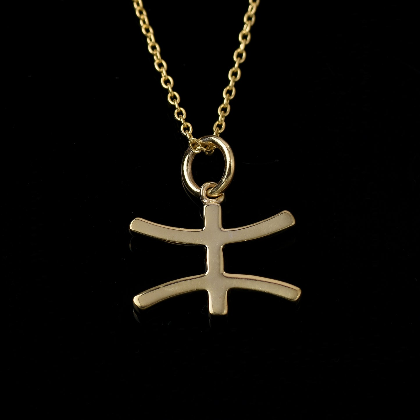 Pisces Zodiac Necklace