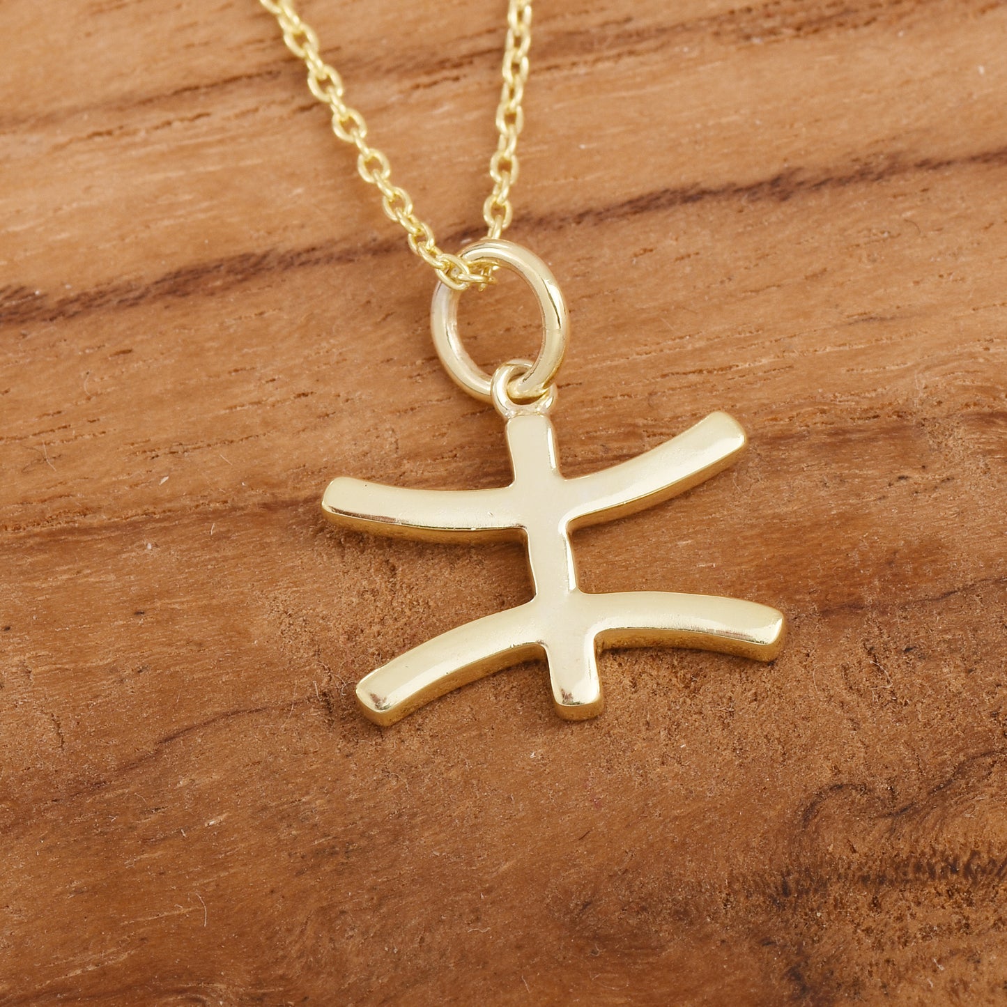 Pisces Zodiac Necklace