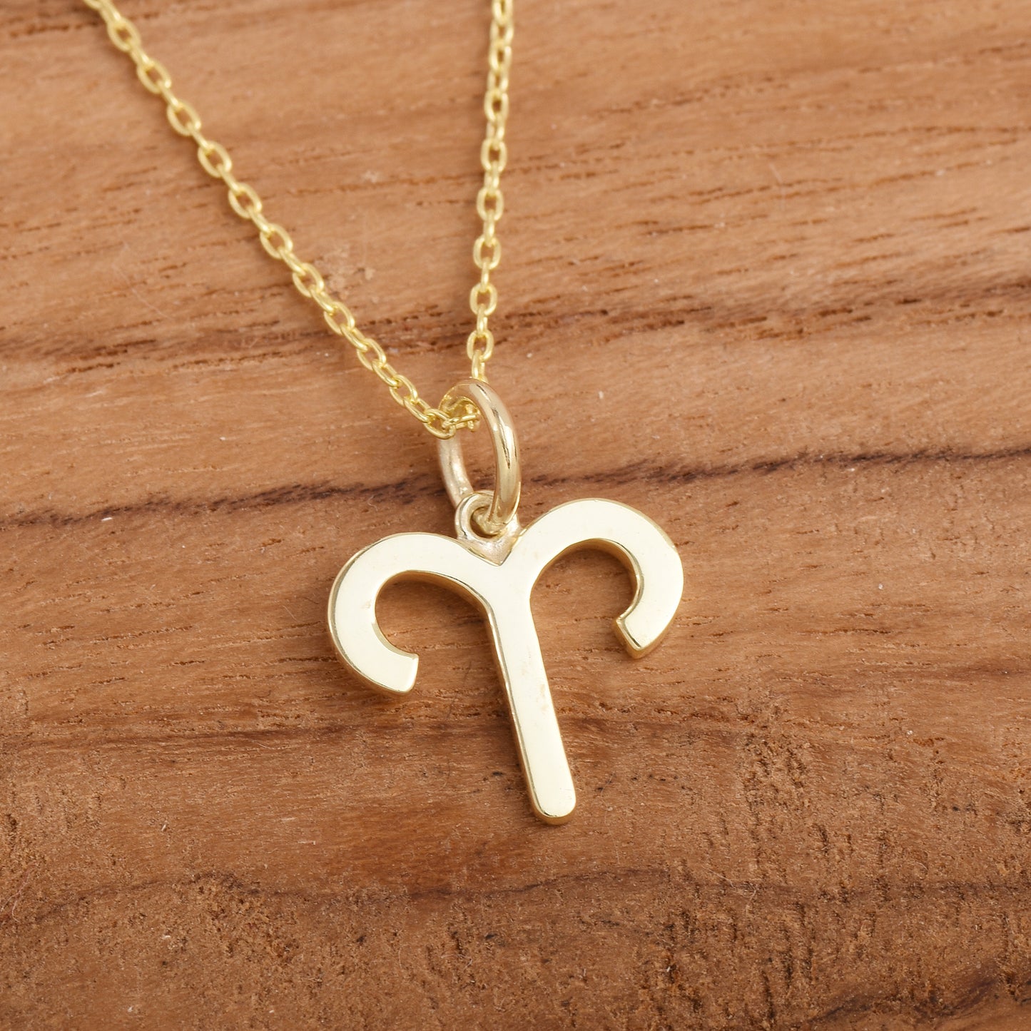 Aries Zodiac Sign Necklace