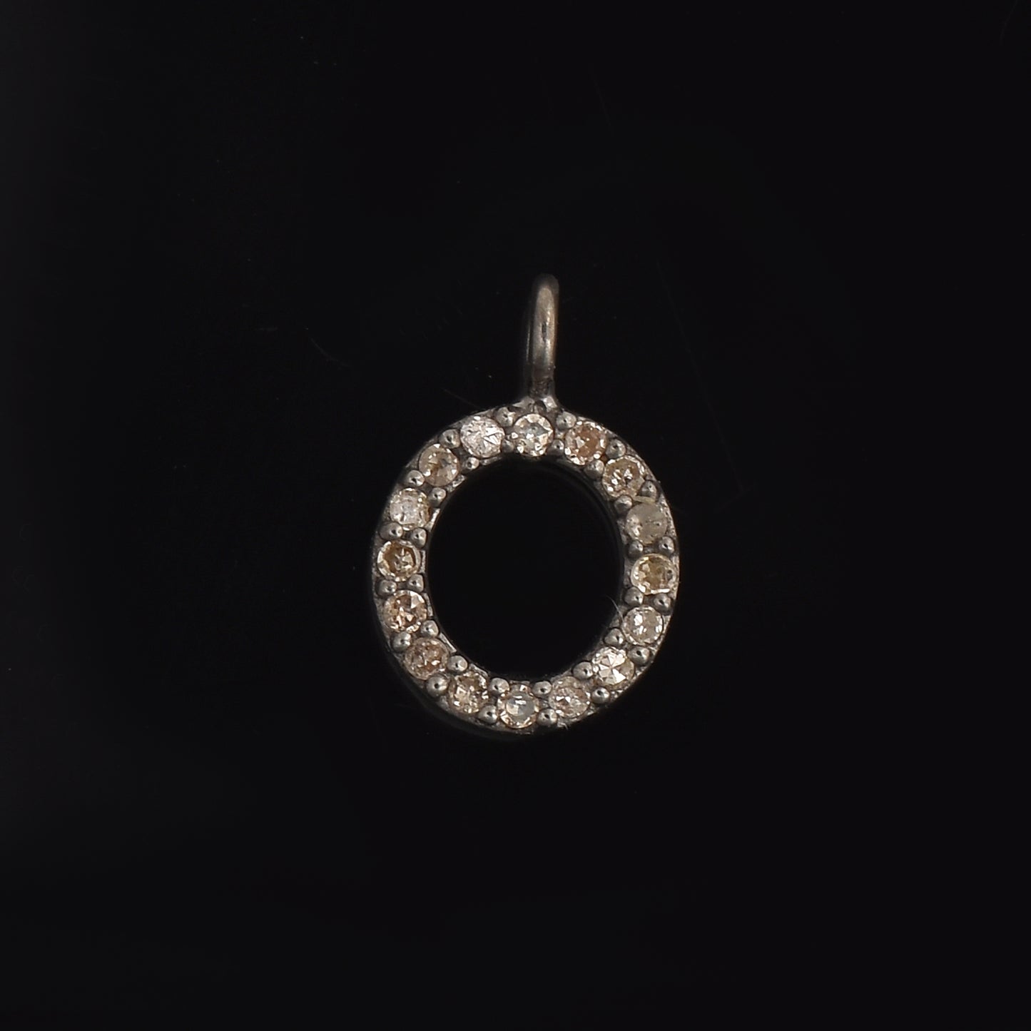 Circle of Life Charm